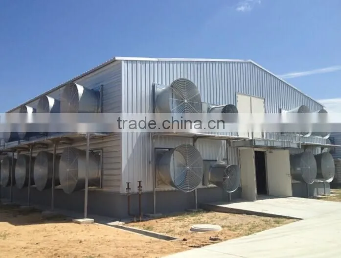 Automatic broiler poultry farm equipment for sale