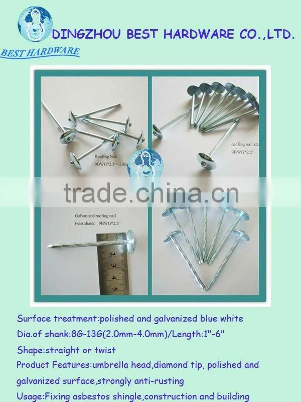 Galvanized umbrella roofing nail