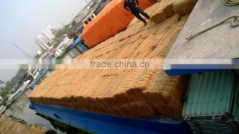 Coconut Fiber High quality (qq : 2598494113)