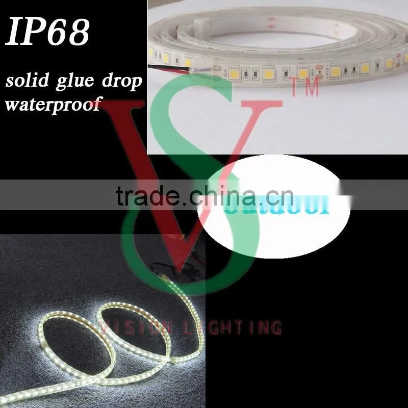 IP20 Naked indoor use led strip light