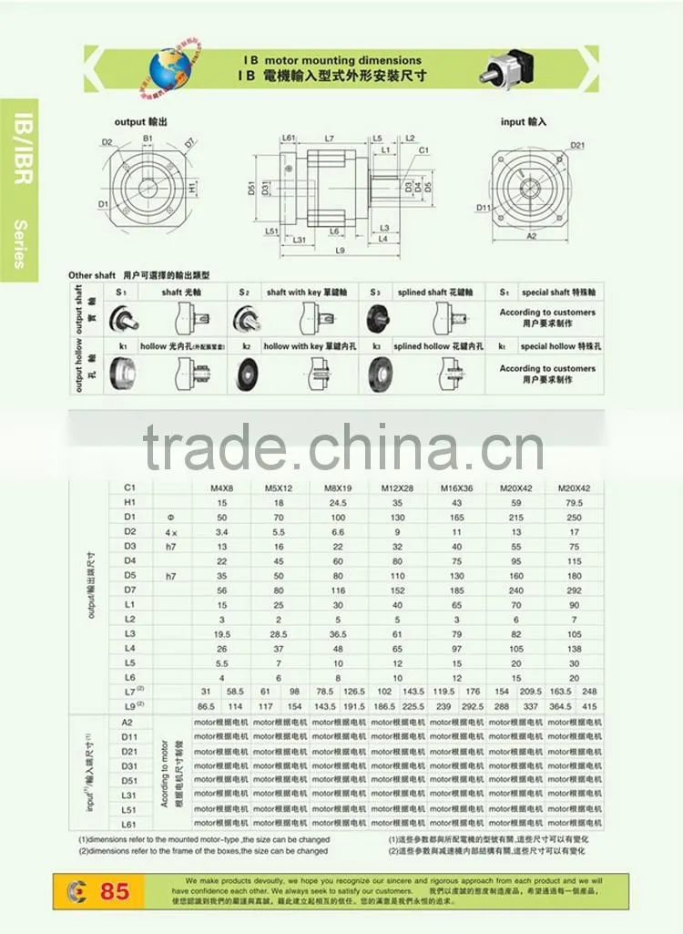 Servomotor IB IBR Series Precision Planetary gearbox
