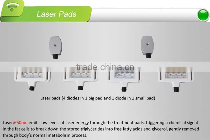 Hot new product for laser slimming machine, 8-inch LCD touch screen with simple&user-friendly interface, 3 years warranty