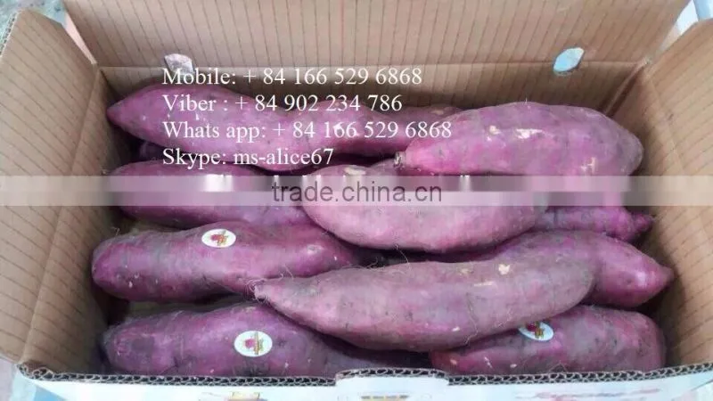 Viet Nam Sweet Potato