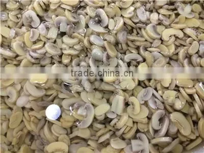 brine meter light yellow mushroom slices brine champignon mushroom high quality champignon mushrooms brine salted boiled in bag