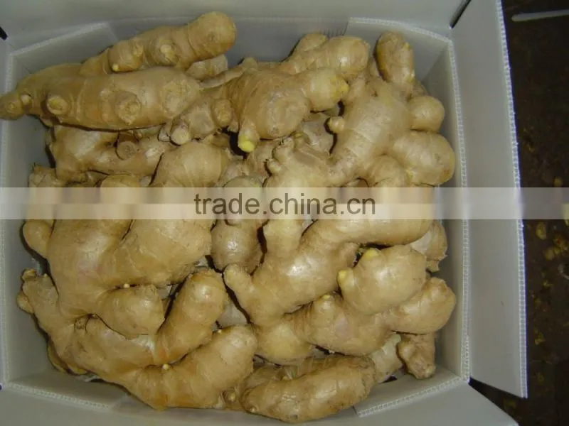 Chinese fresh ginger