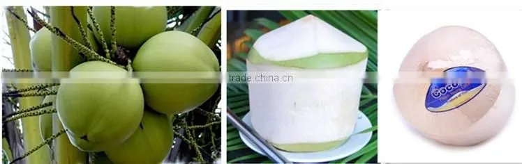 Whosale coconut production line coconut skin peeler coconut machine