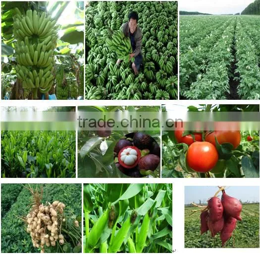 lowest price fertilizer humus fertilizer