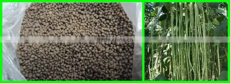 Best supplier ammonium sulphate