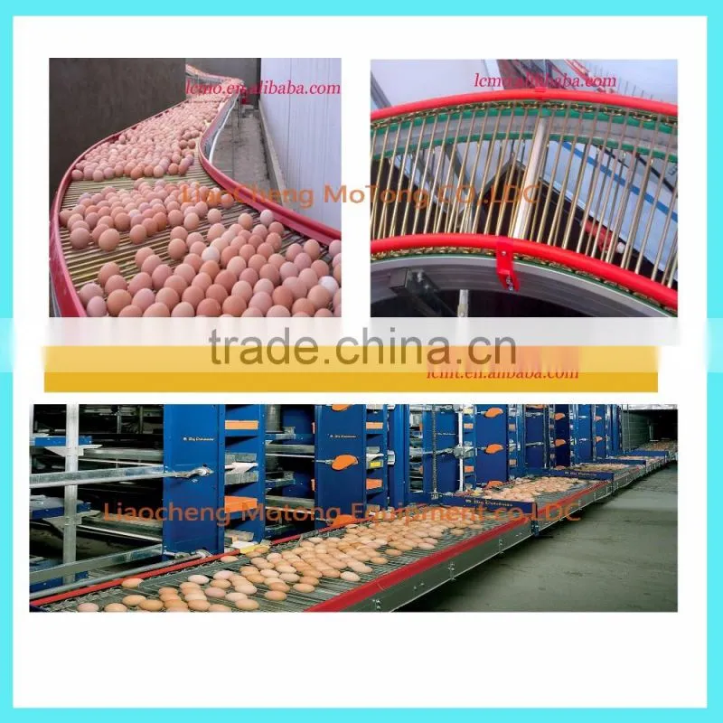 broiler chicken cage for sale