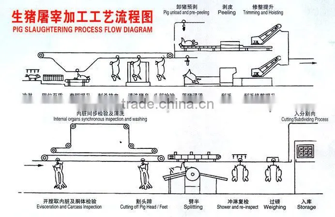 High Automatic Pig Slaughterhouse