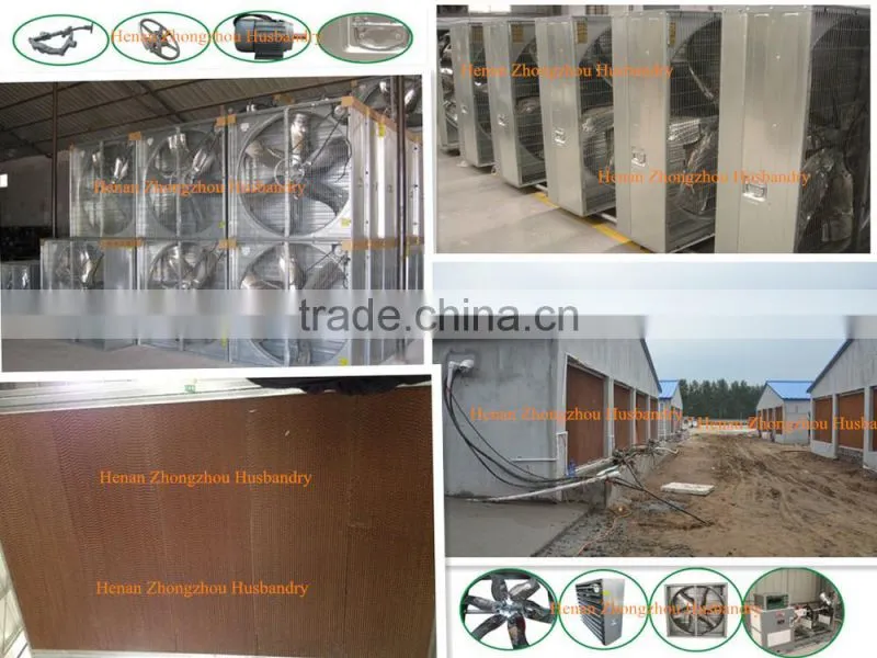New Design Broiler Cage System
