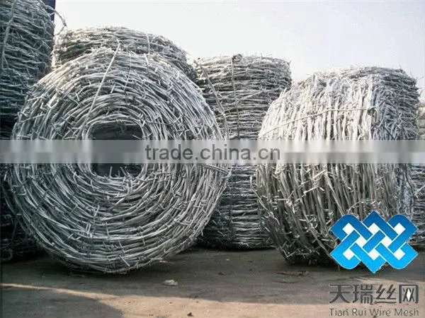 galvanized steel coiled barbed wire
