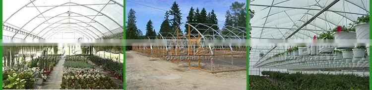 Commercial Greenhouse for sale Single span greenhouse