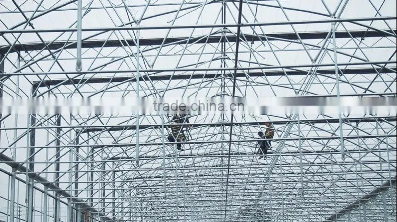 Used Galvanized Steel Pipe Frame Tunnel Greenhouse for Sale
