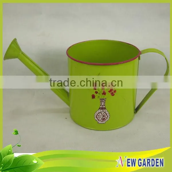 High Grade Colorful Watering Can Decorative Metal Plant Pots Indoor