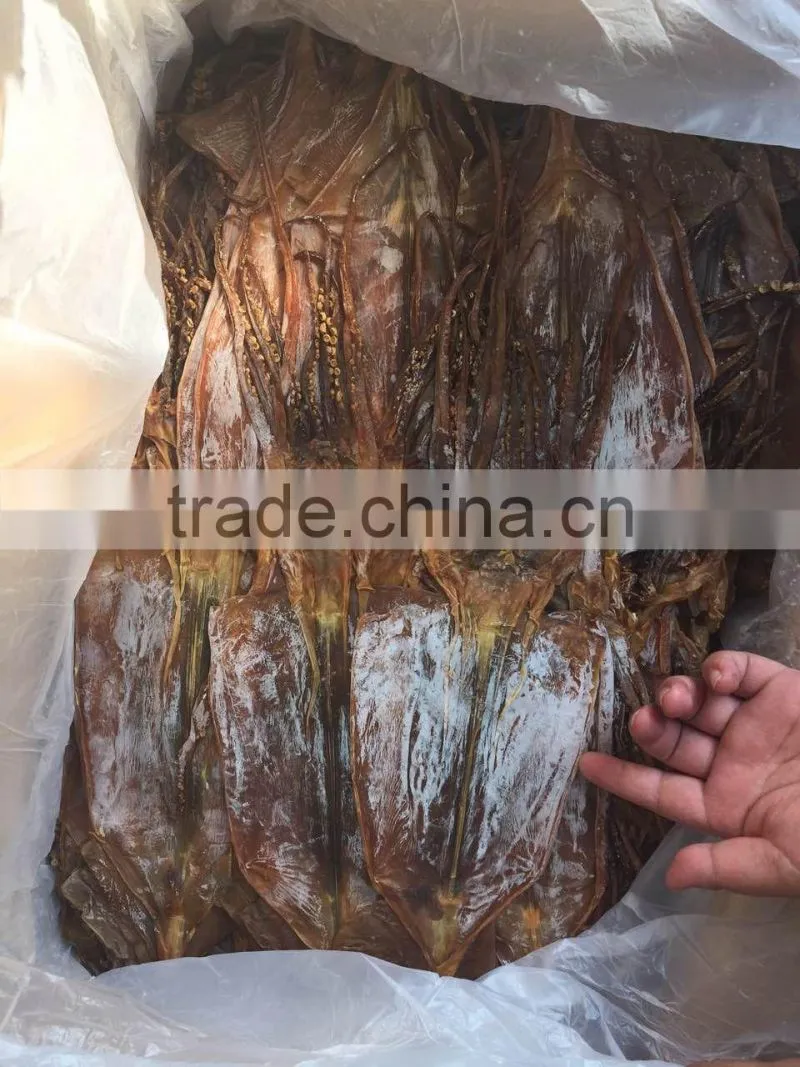 dried illex squid