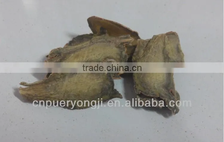 Factory Supply Dietary Supplyment 100% Natural panax Notoginseng P.E. / Wild Radix Notoginseng Extract