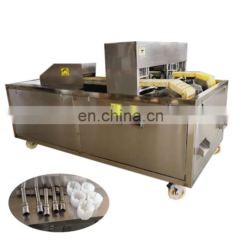peach seed removing equipment peach nuclear pitting machine.
