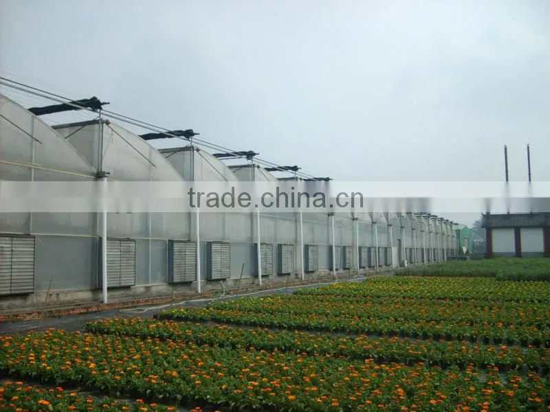 Mini Green House