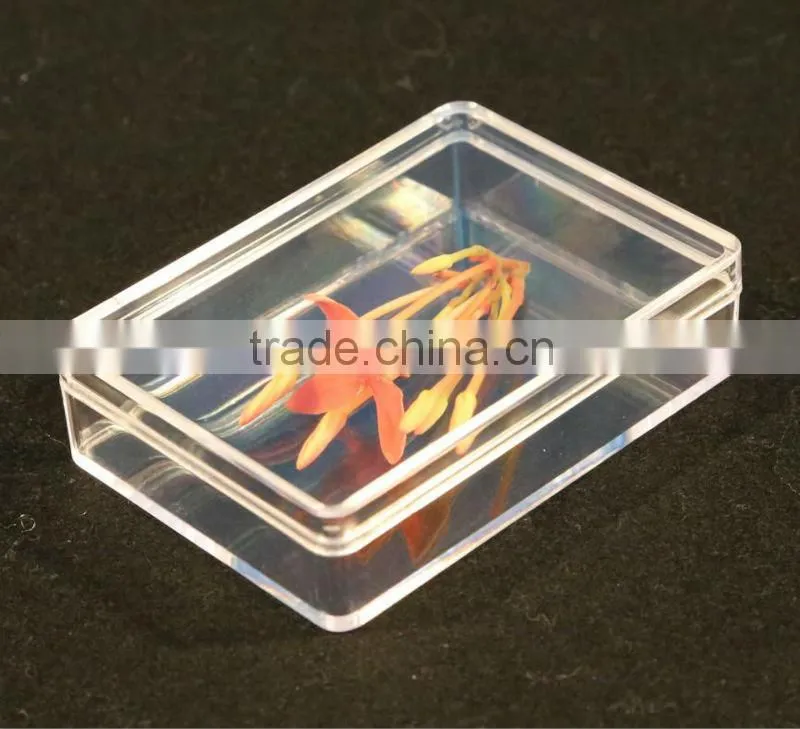 Guangdong Clear Plastic Box from China