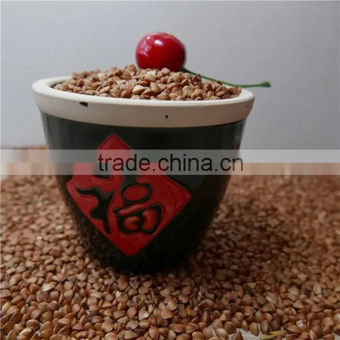 high quality sweet raw buckwheat roasted buckwheat price
