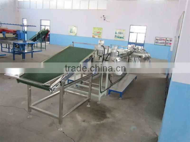 shanghai coffee bean classifier machine/soybean grading machine/blueberry grading machinery/blueberry sorting