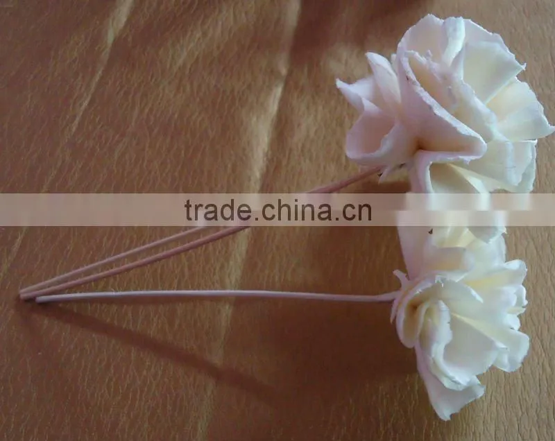 sola cabbage flower
