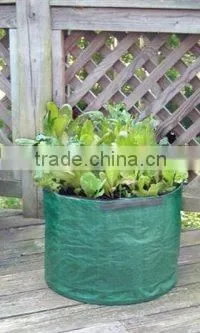 Environmental Friendly PE Salad Growing Bag,Reusable Salad Planter Bags,Salad Planters