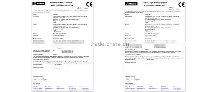 East Europe Hot Sale Aluminum CE EMC high power led lux down light 3W