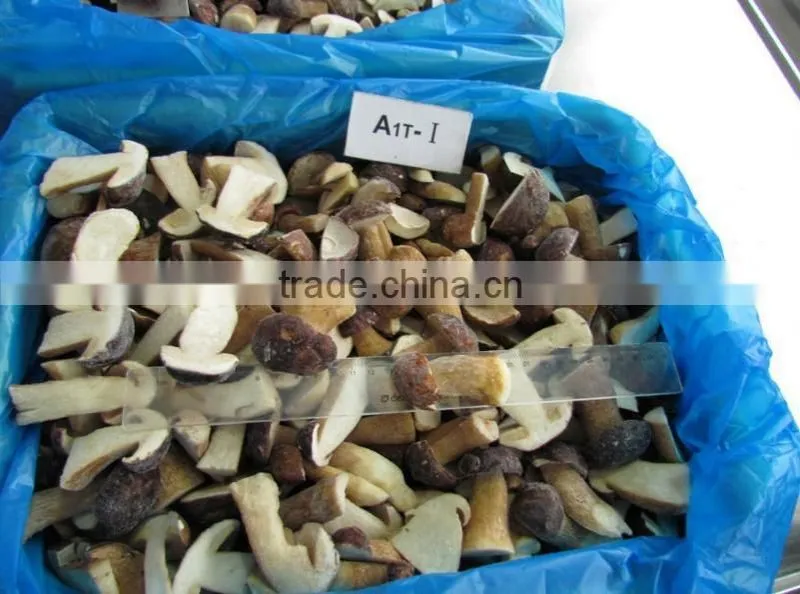 IQF Frozen Boletus Edulis (Bolete,Porcini,Grzyby)