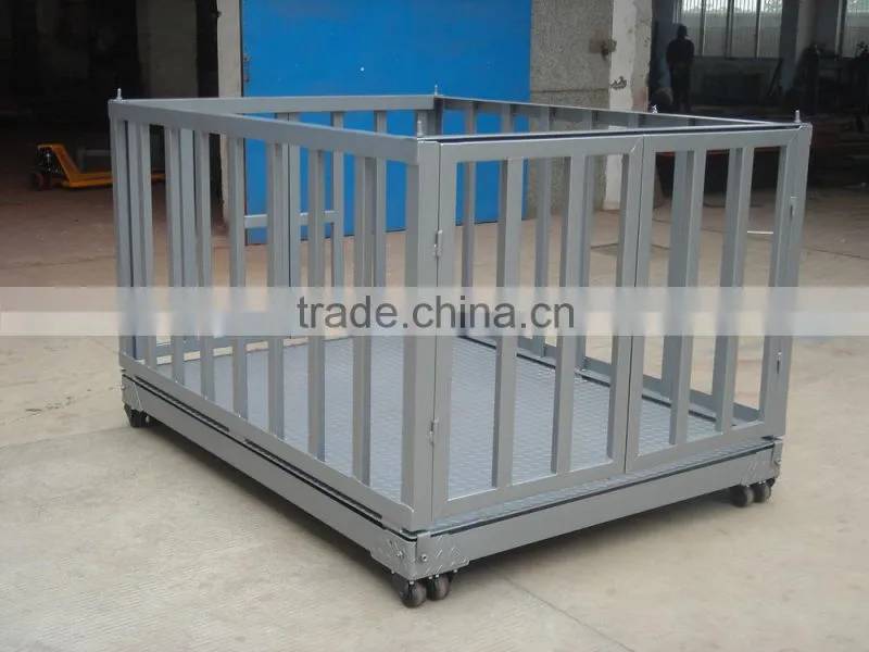 cattle scale
