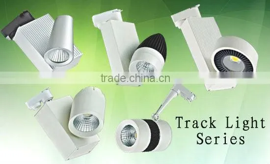 2013 New design energy saving 12W LED Lamp