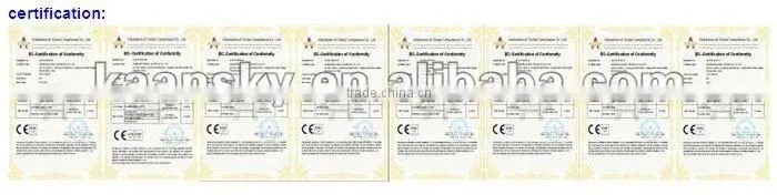 700TVL 1/3" Color Sony Effio long range WDR IR waterproof camera