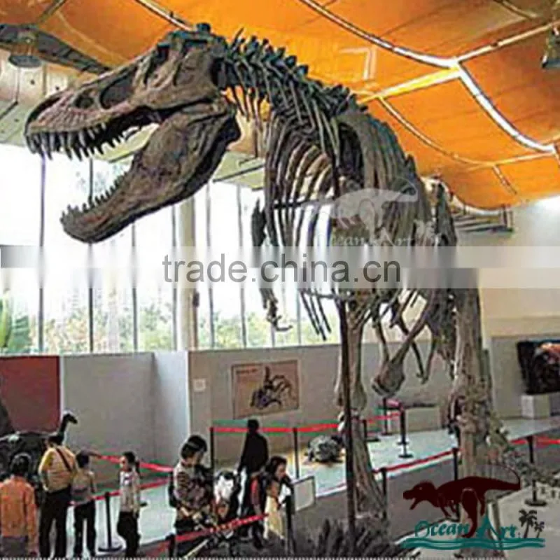 Simulation dinosaur fake skeleton