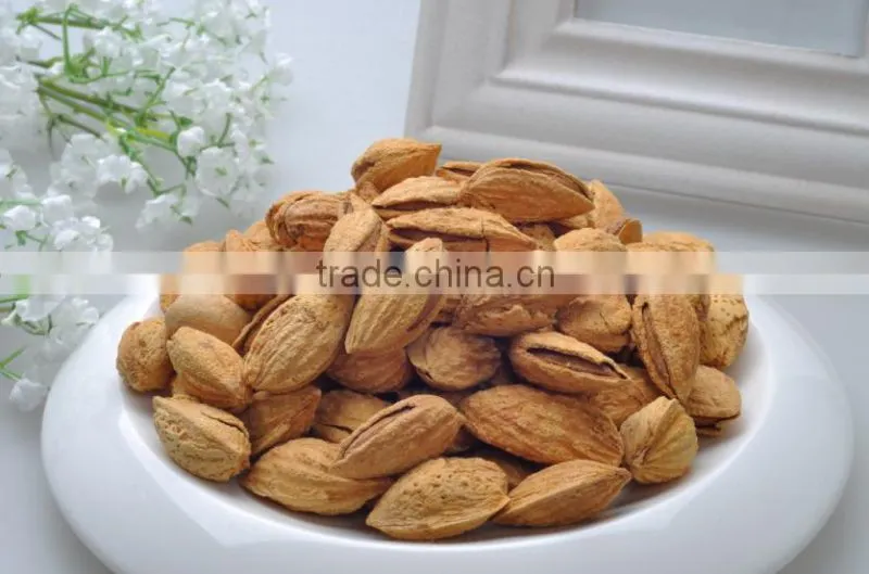 Chinese badam almond in shell with QS standard