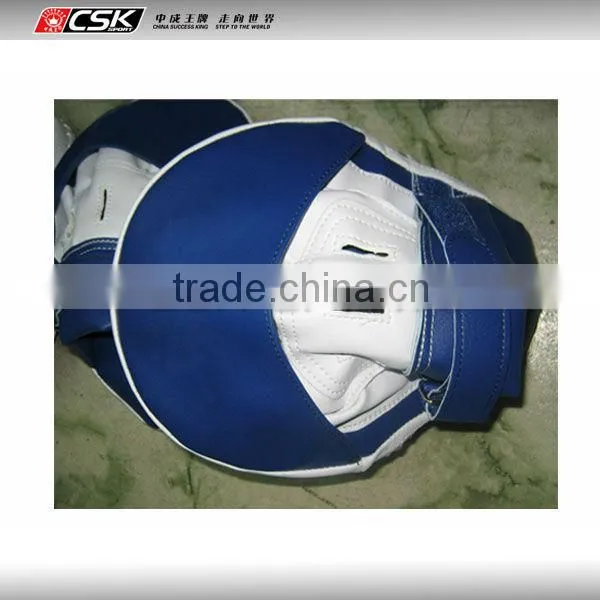 Boxing Kick Mitts / Custom Focus Mitts