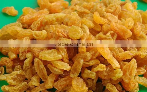 Sultana Raisin