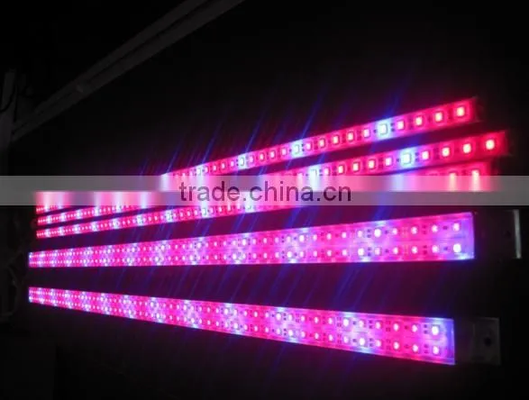 multicolor 5050RGB led light strip