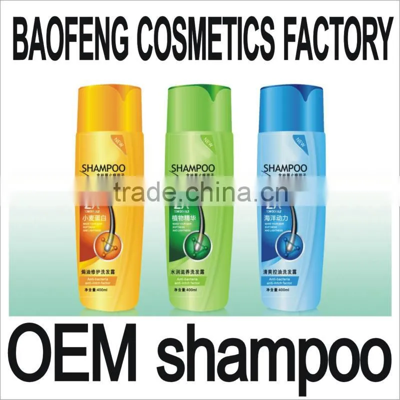 nutritive ginger hair shampoo brand shampoo OEM keratin private label shampoo conditioning cheap shampoo hair shampoo design