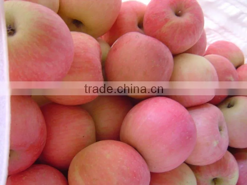 Fuji Apple China
