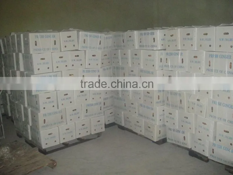 air-dried ginger