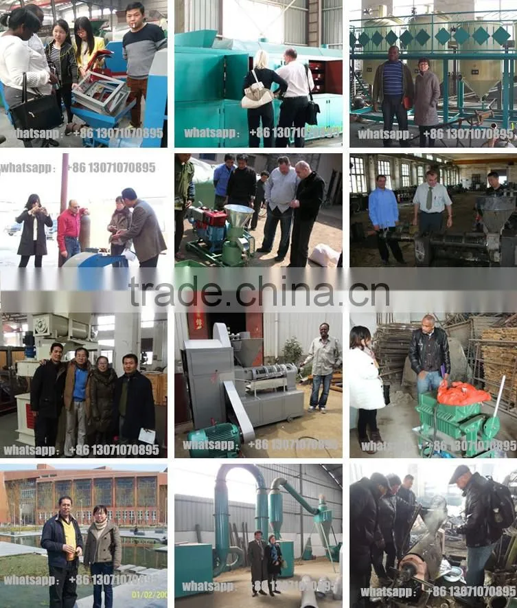 stainless steel jatropha oil press machine, vegetable oil press machine, black seed oil press machine