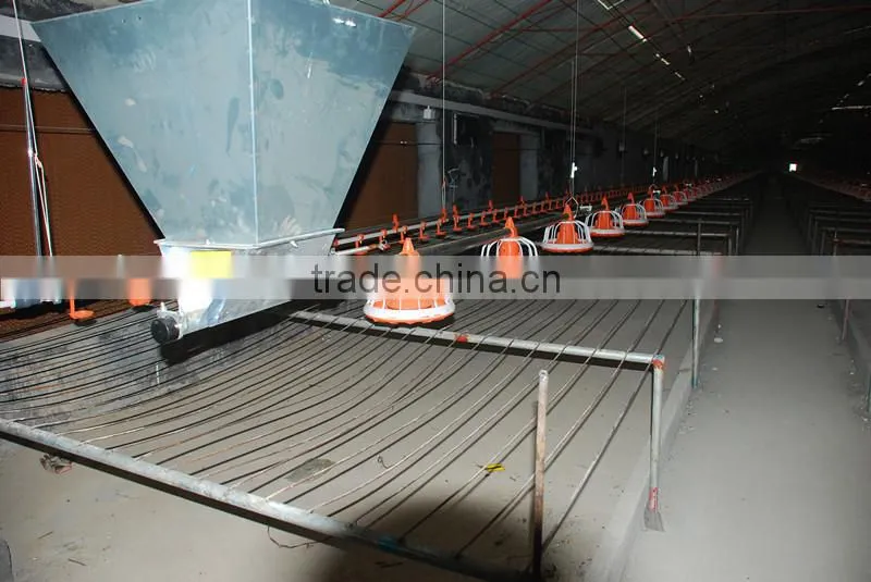 Hot sale!automatic broiler feeding system