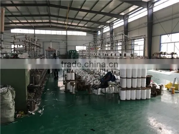 Colorful 3 Strand Twisted Polypropylene Rope with High Strength