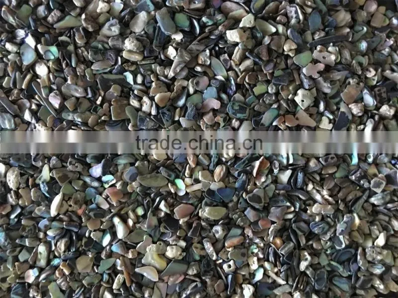 Natural paua crushed abalone shell chips