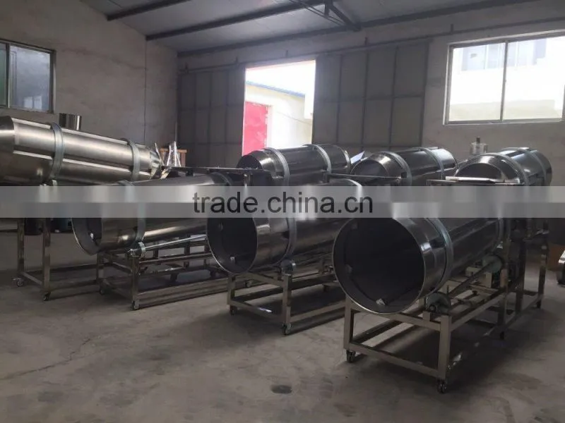 Jinan Eagle nik naks corn cheetos chips kurkure making machine plant