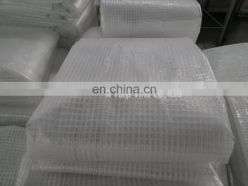 Leno Transparent Tarpaulin 150GSM with Logo Printing