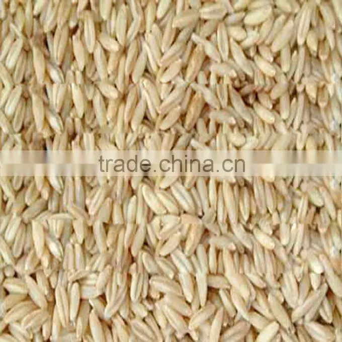 organic hulled barley