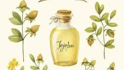 100L - 500L Jojoba Oil Essential Oil Distillation Equipment Extraction Equipment Distiller Extractor Machine