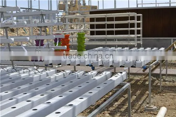 4mm Polycarbonate Greenhouse Anti- high Wind and Snow